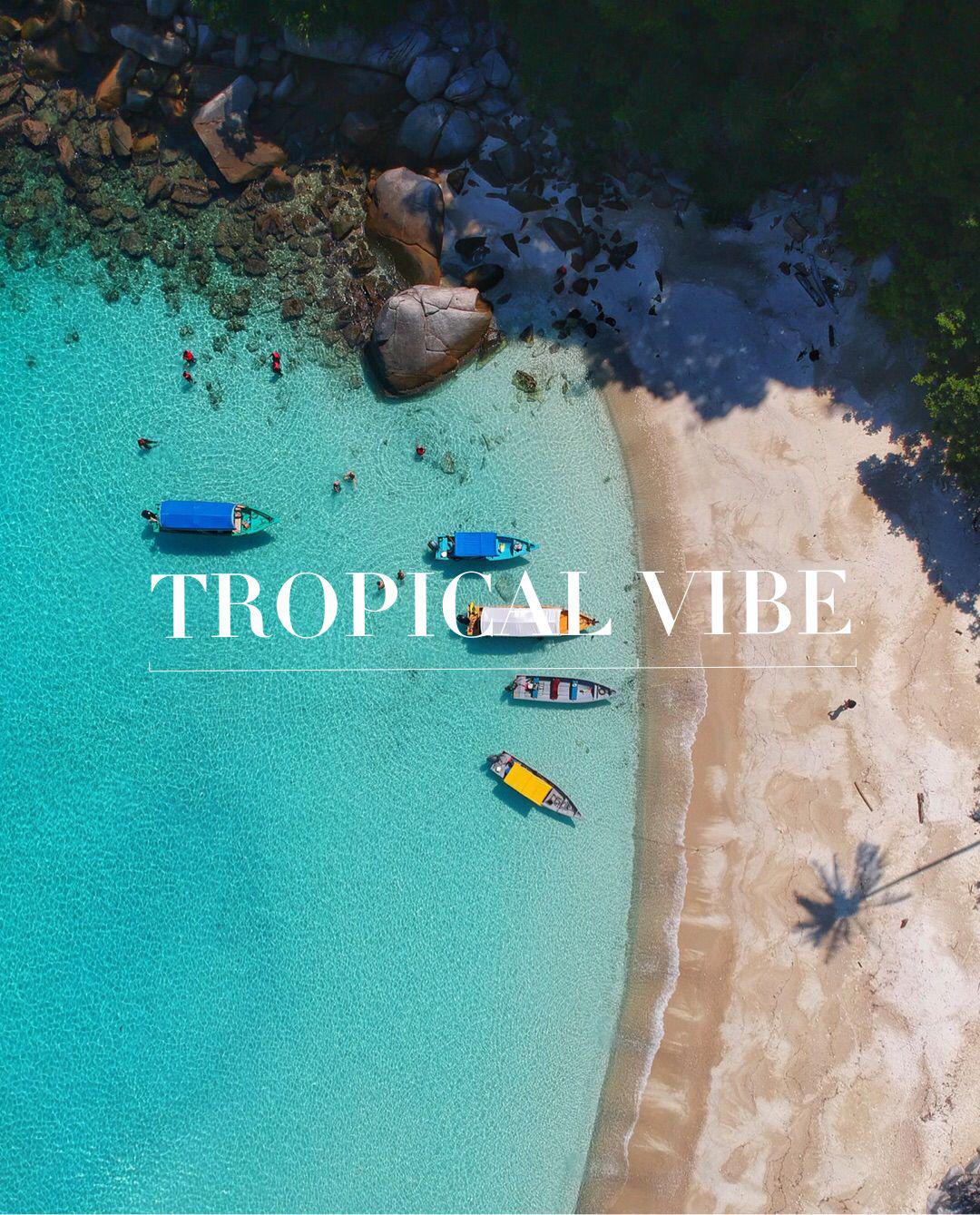 Tropical Vibe专辑