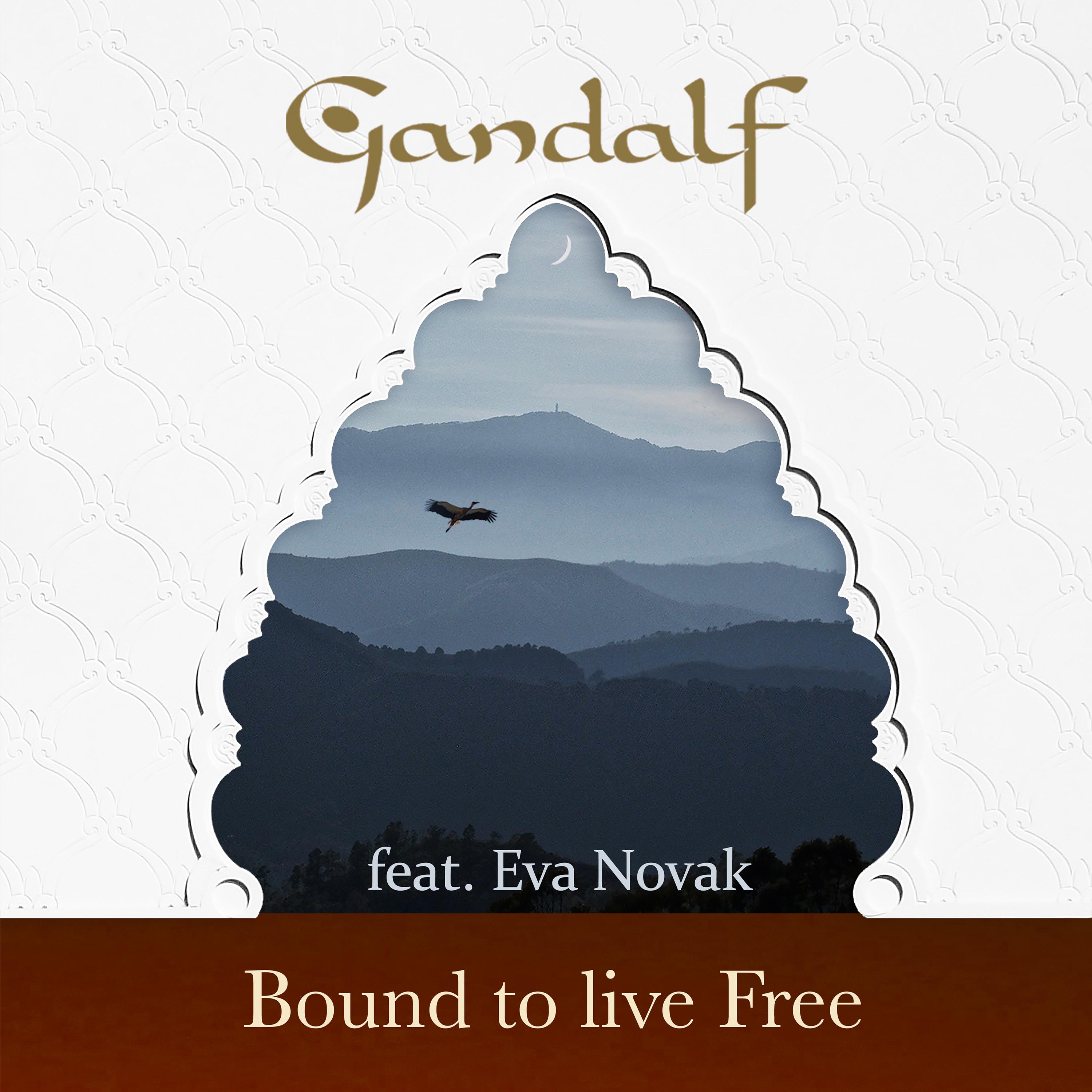 Bound to Live Free (Short Edit)