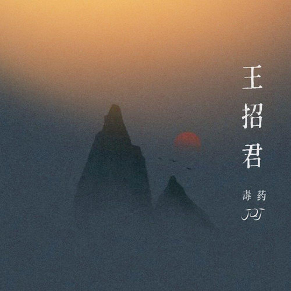 王招君