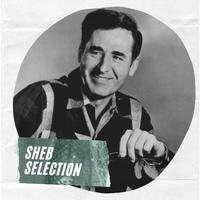 Sheb Wooley - The Purple People Eater (BB Instrumental) 无和声伴奏