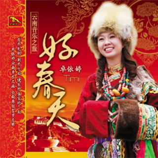 新年歌曲（卓依婷歌曲）