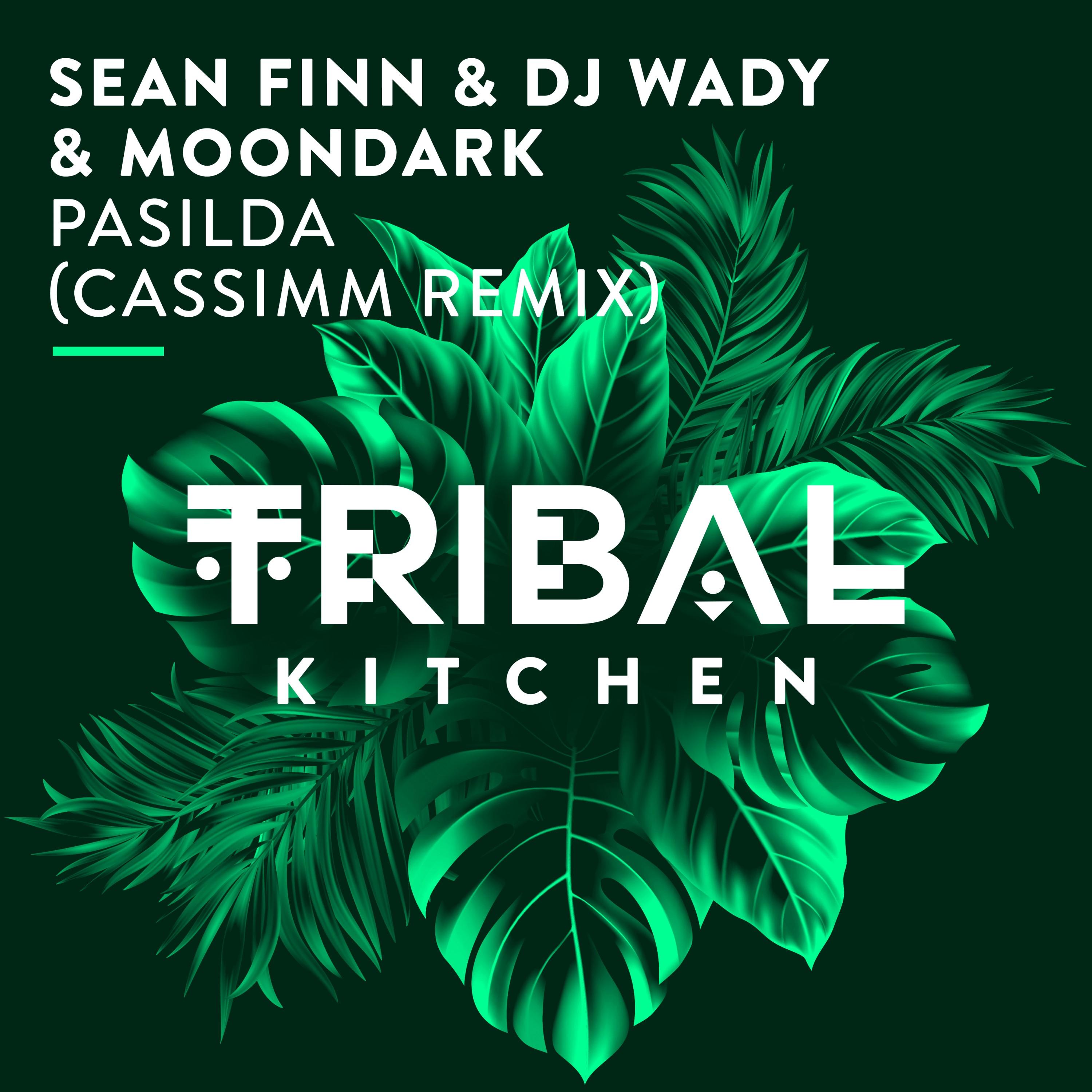 Pasilda (CASSIMM Remix)