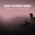 Beauty in Nature Sounds专辑