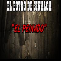 El Potro De Sinaloa - Hazme Una Prueba (karaoke)