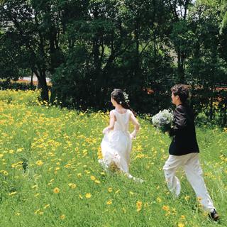 春｜你愿意跟我一起出逃春天吗