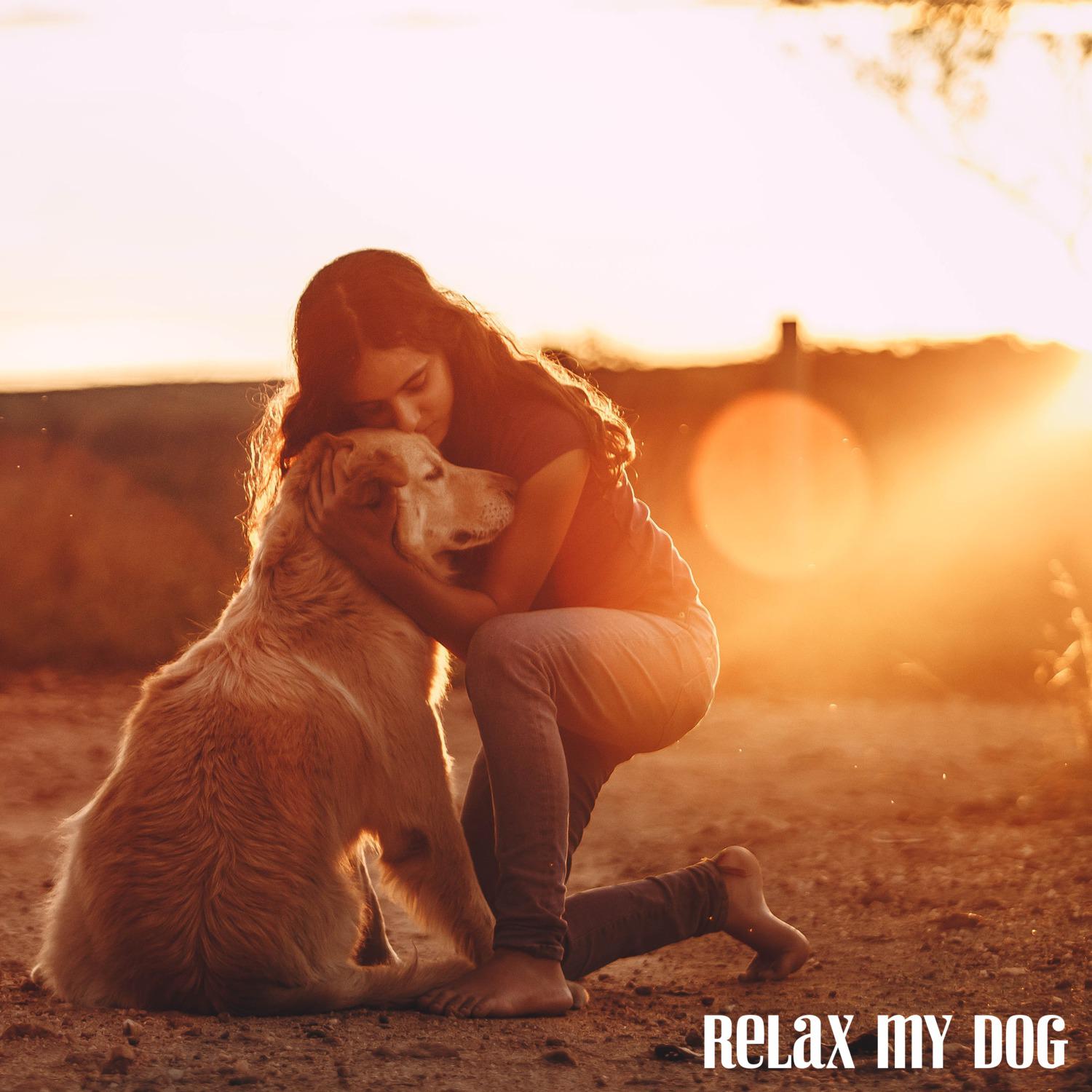 Dog Calming Music - New Dawn