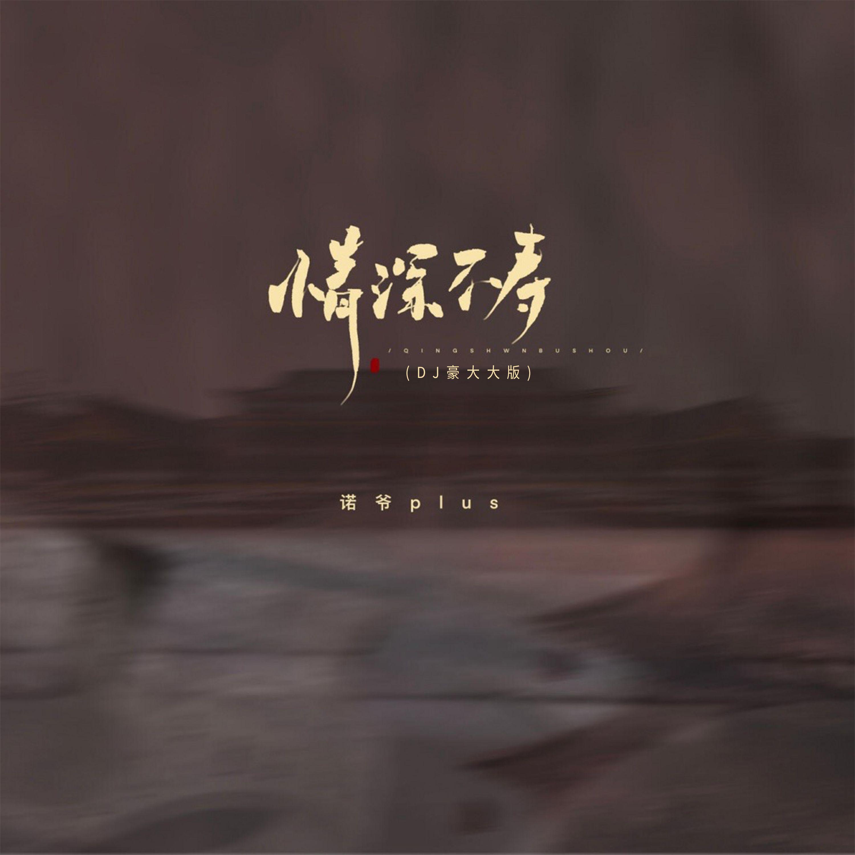 情深不寿（DJ豪大大版）
