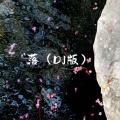 落 (DJ版)