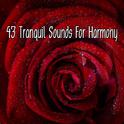 43 Tranquil Sounds For Harmony专辑