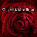 43 Tranquil Sounds For Harmony专辑