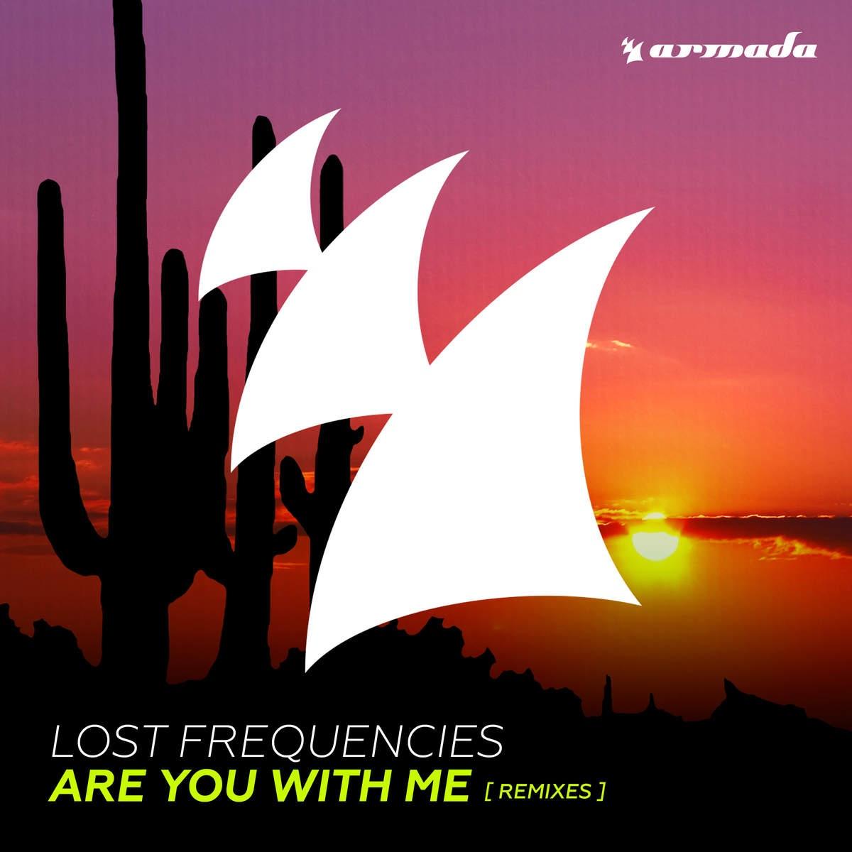 are you with me (dimaro remix) 歌手:lost frequencies 所属专辑