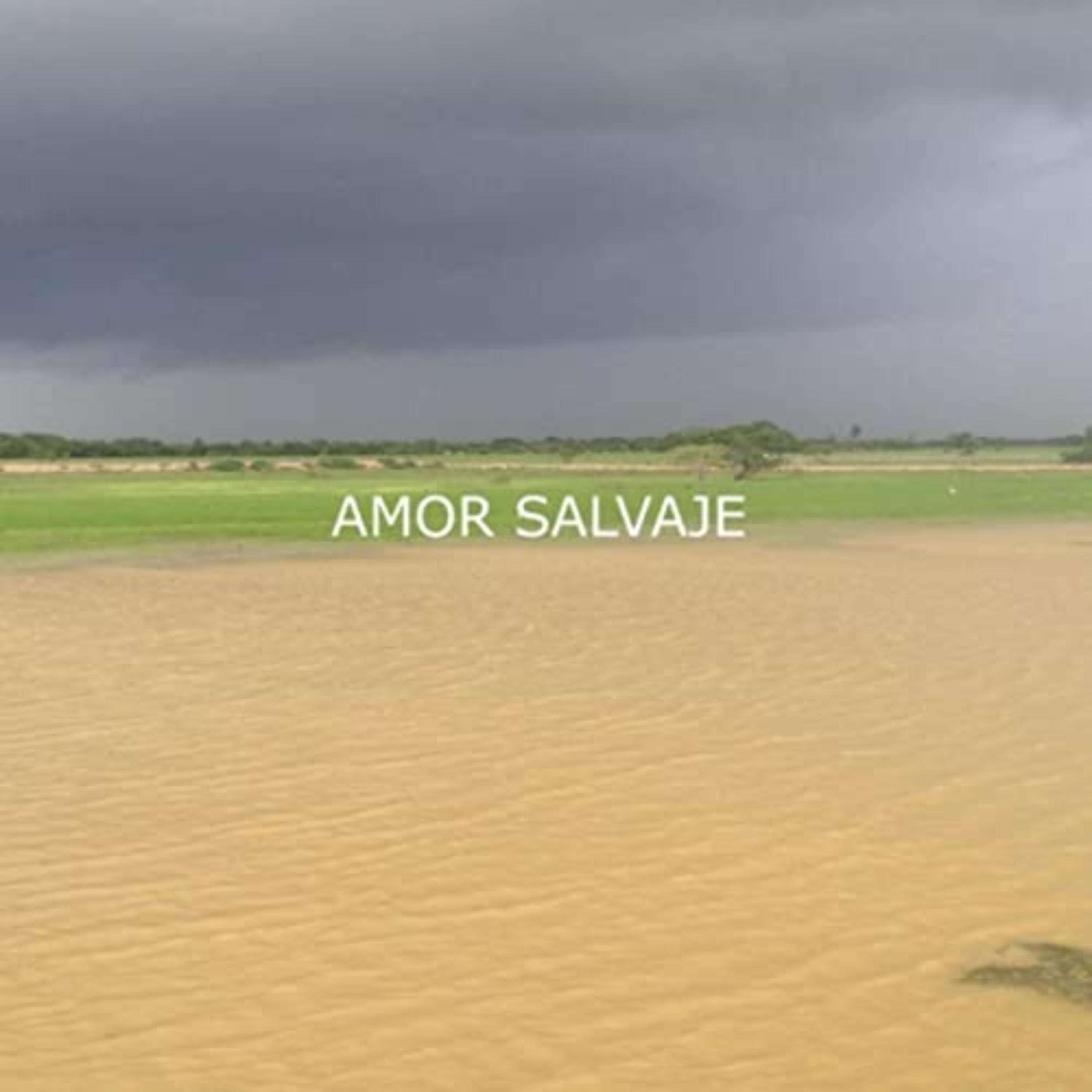 Amor Salvaje