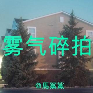 烟雾弥漫冬季碎拍 - 馬鯊鯊