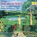 Prokofiev: Peter und der Wolf / Mozart: Eine kleine Nachtmusik / Brahms: Ungarische Tänze专辑