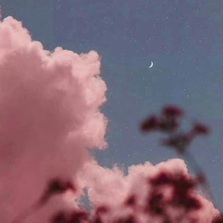 韩｜夜色零落，蓝色的星光在远方颤抖