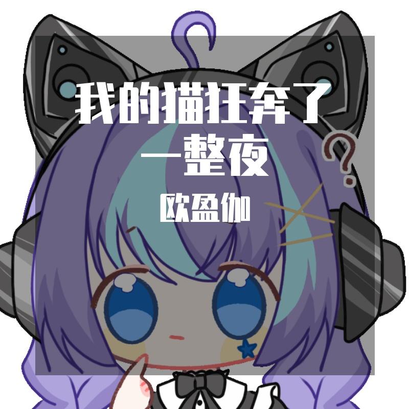 我的猫狂奔了一整夜
