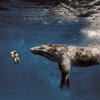 后摇 | 无界的低频率对话