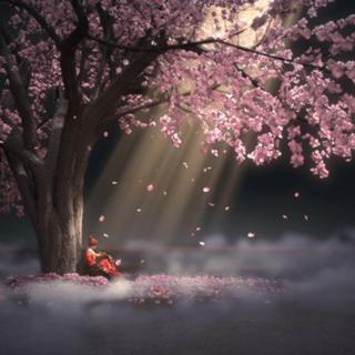 【纯音】夜深了,你的悲伤睡了么？