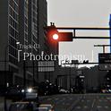 Phototropism.专辑