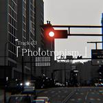 Phototropism.专辑