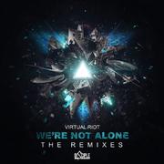 We're Not Alone (The Remixes)