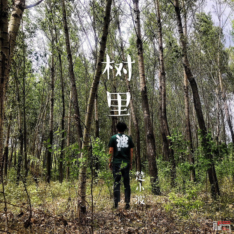 树里