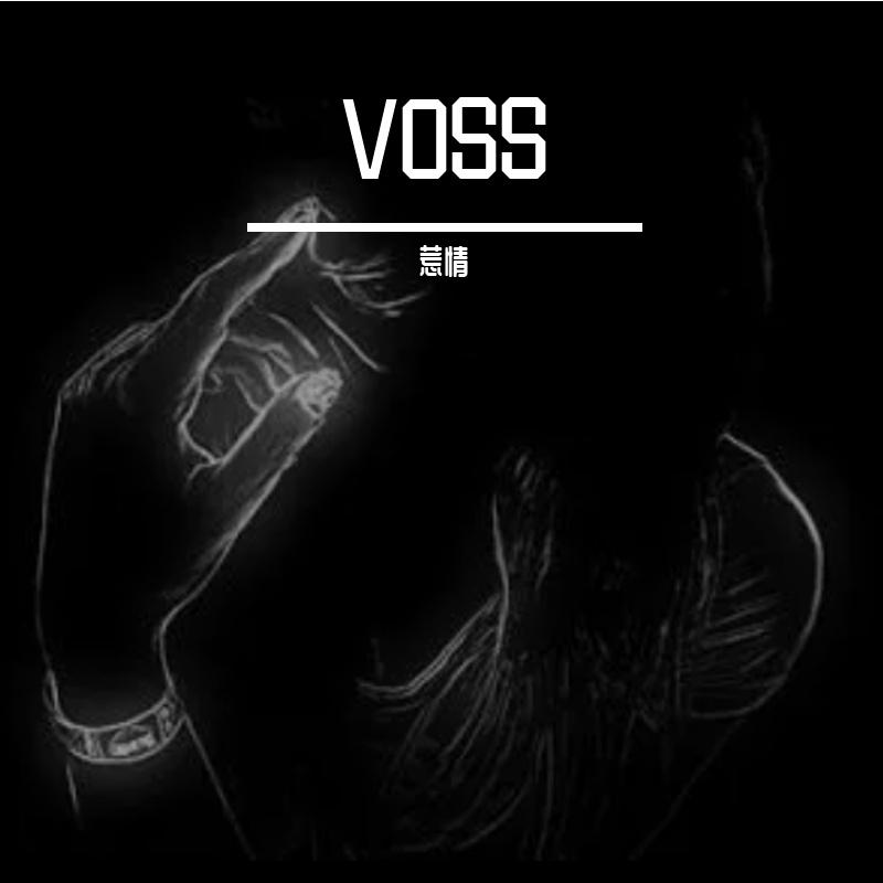 VOSS(Version)