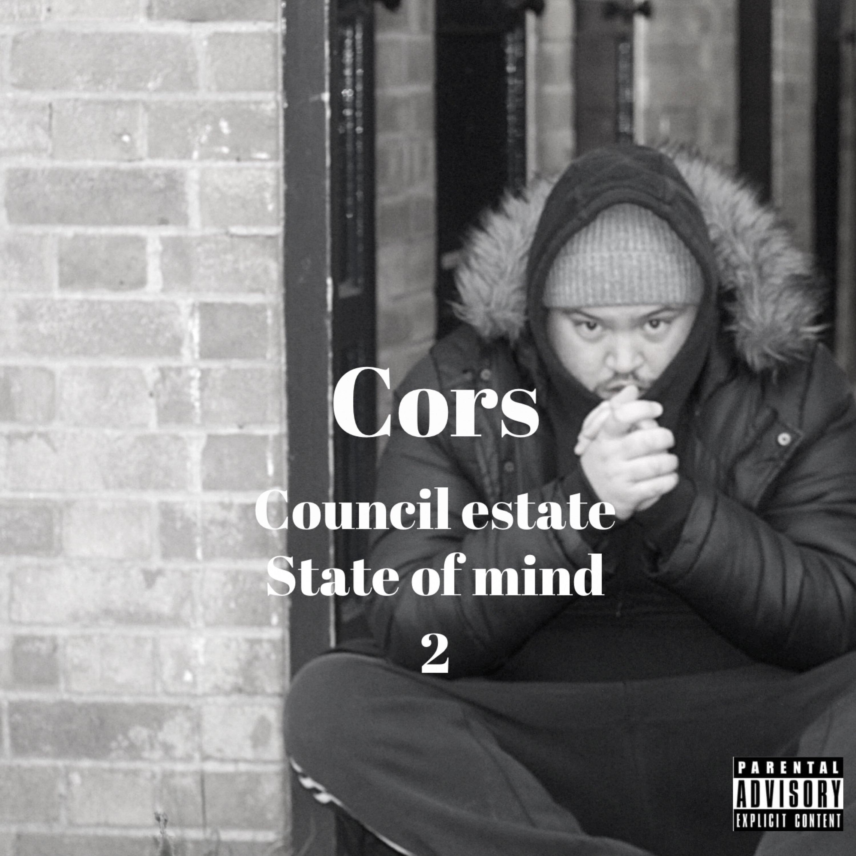 Council Estate State Of Mind 2