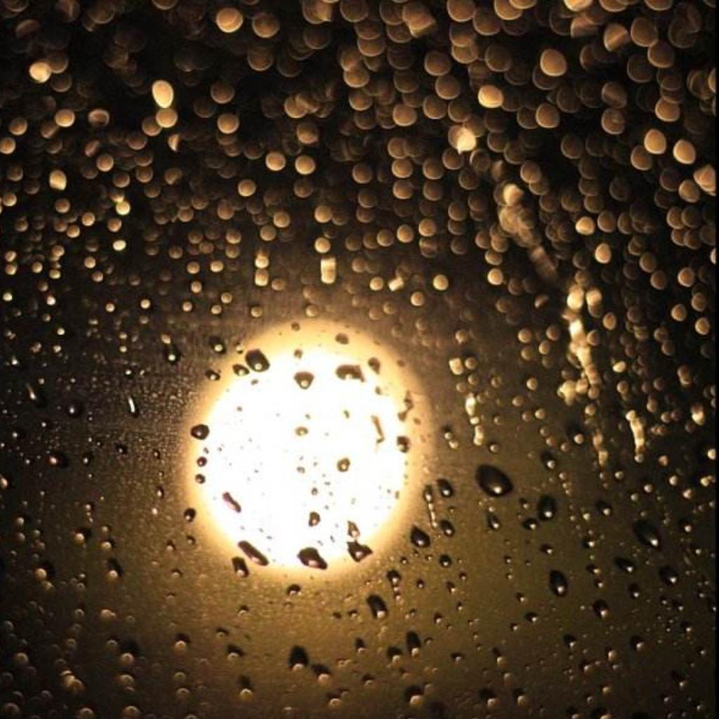Pluviophile.