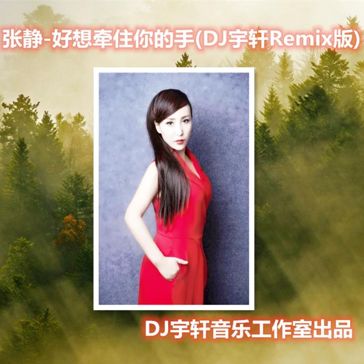 好想牵住你的手 (DJ宇轩Remix版)