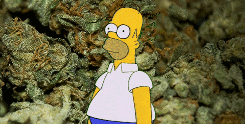 500_253gif 动态图 动图