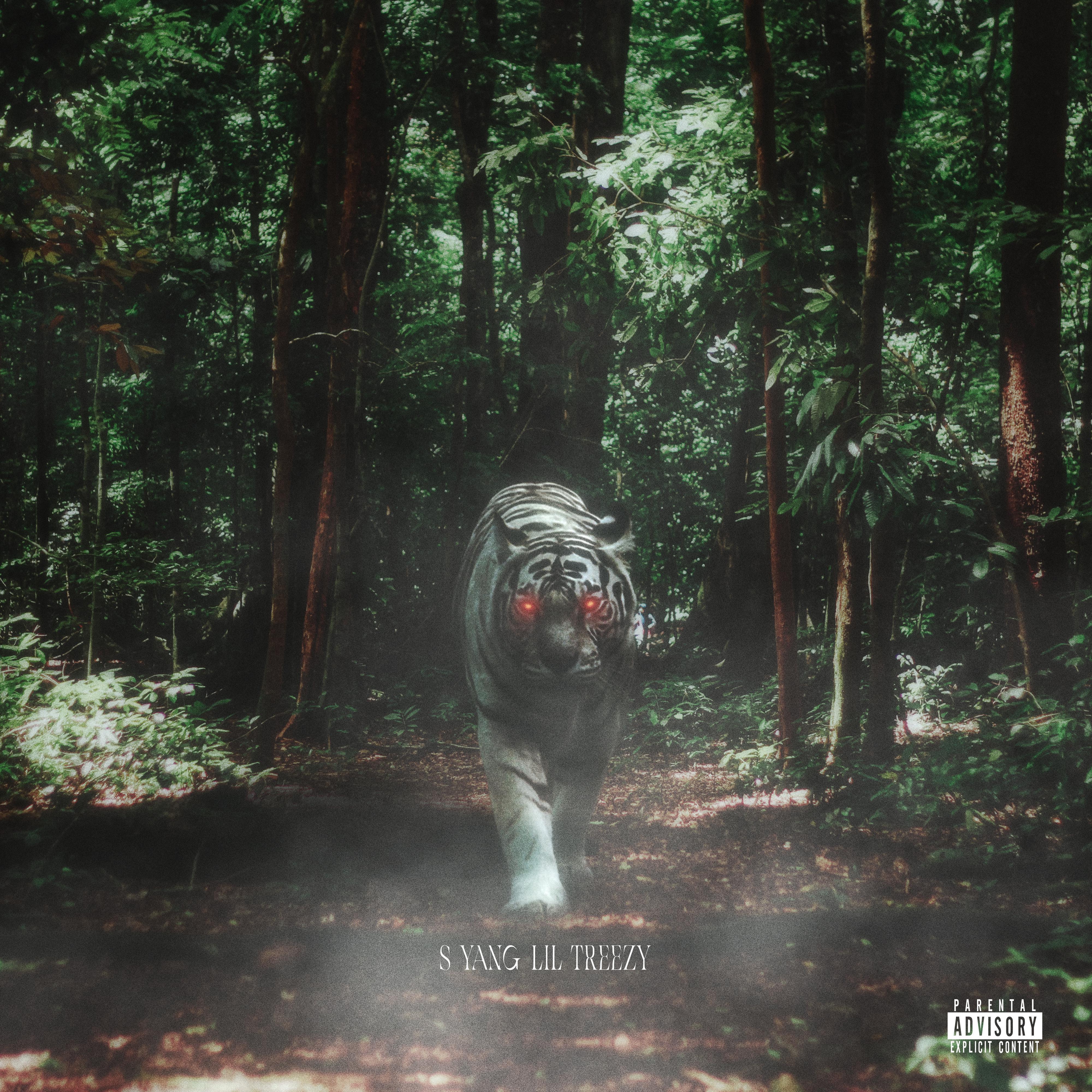 初生牛犊不怕虎