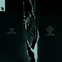 Tiga, Meduza - You Gonna Want Me (I Know) (Extended Mix) 128