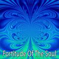 Fortitude Of The Soul