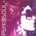 Psykosoul Plus专辑