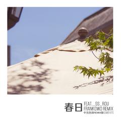 防弹少年团 - 春日(feat. _SS_ROU)(FRANKOWO Remix)中文改词版