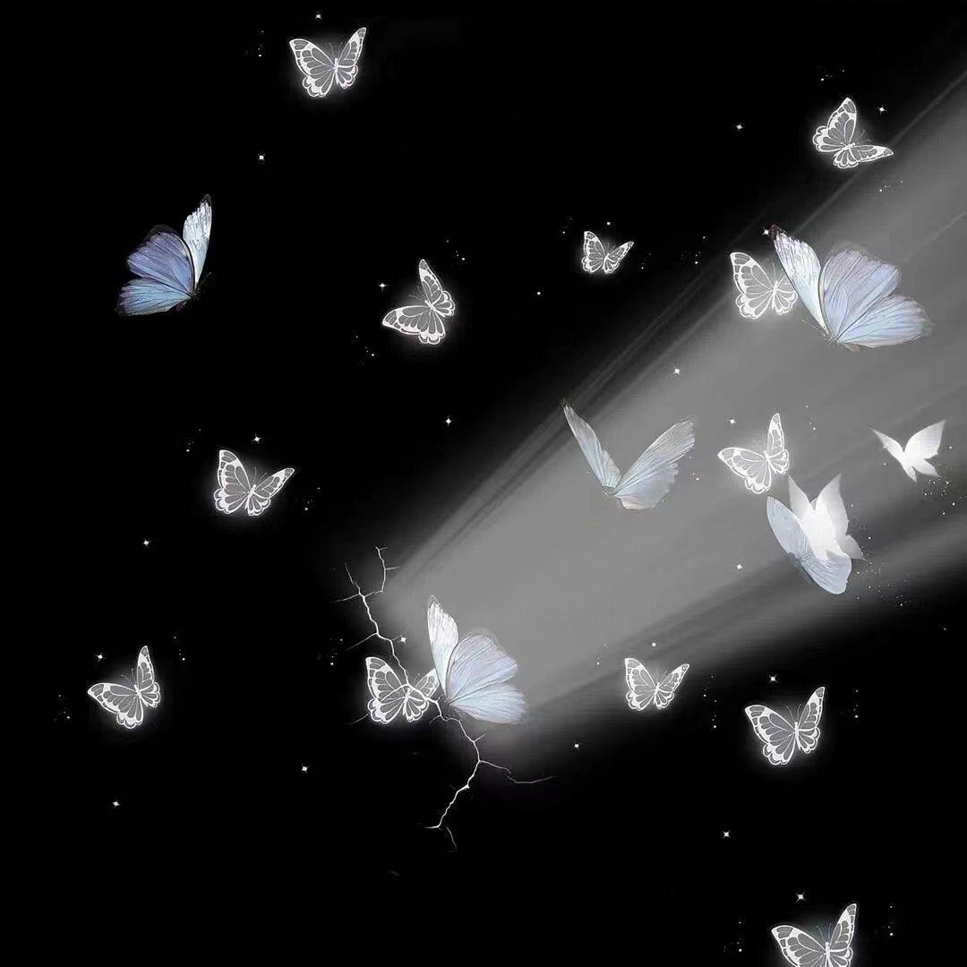 彩云之南DJ版（踩晕直男）