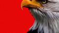 Eagle专辑