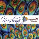 Krishna - Meditation And Celebration专辑