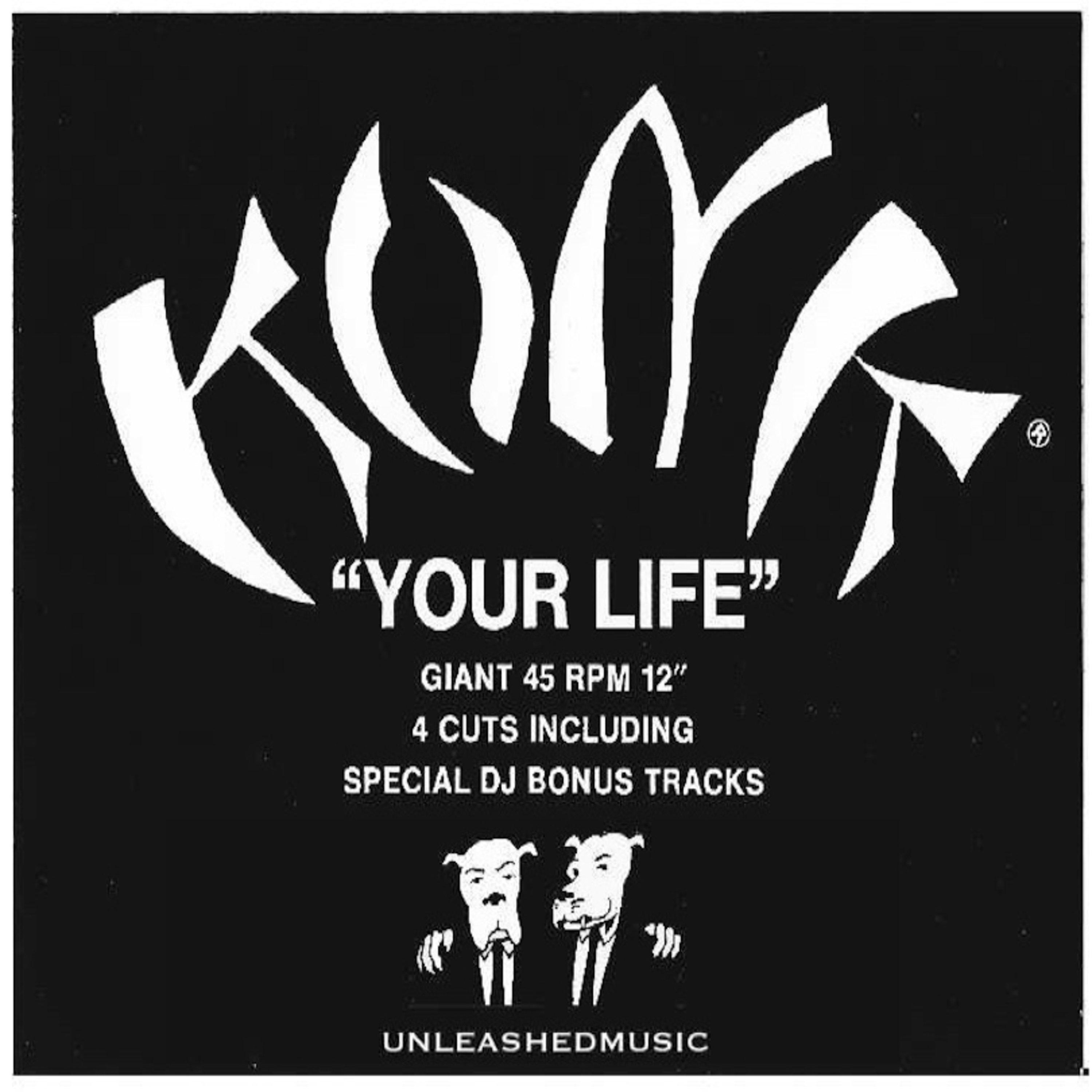 Your Life 12"