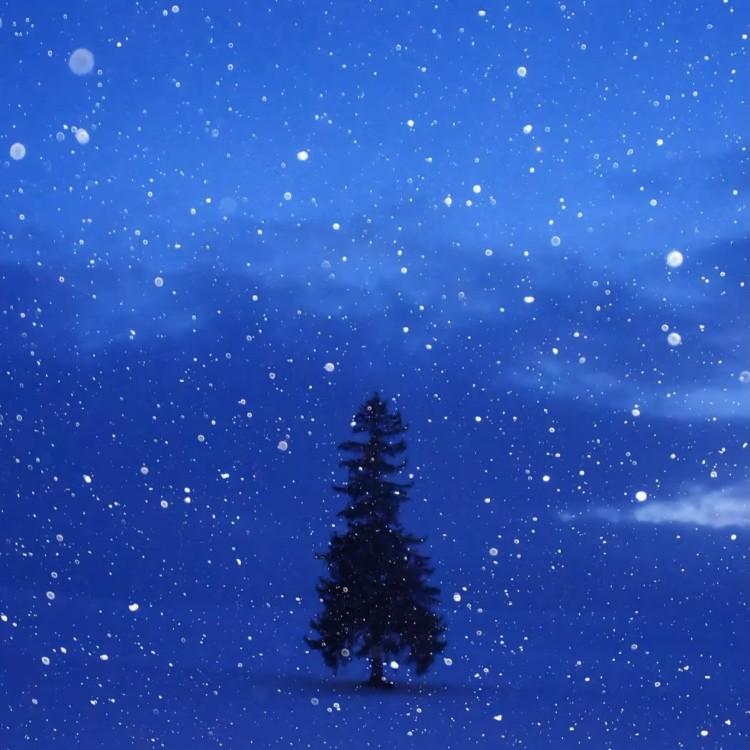 冬天的秘密（如果我说我真的爱你）