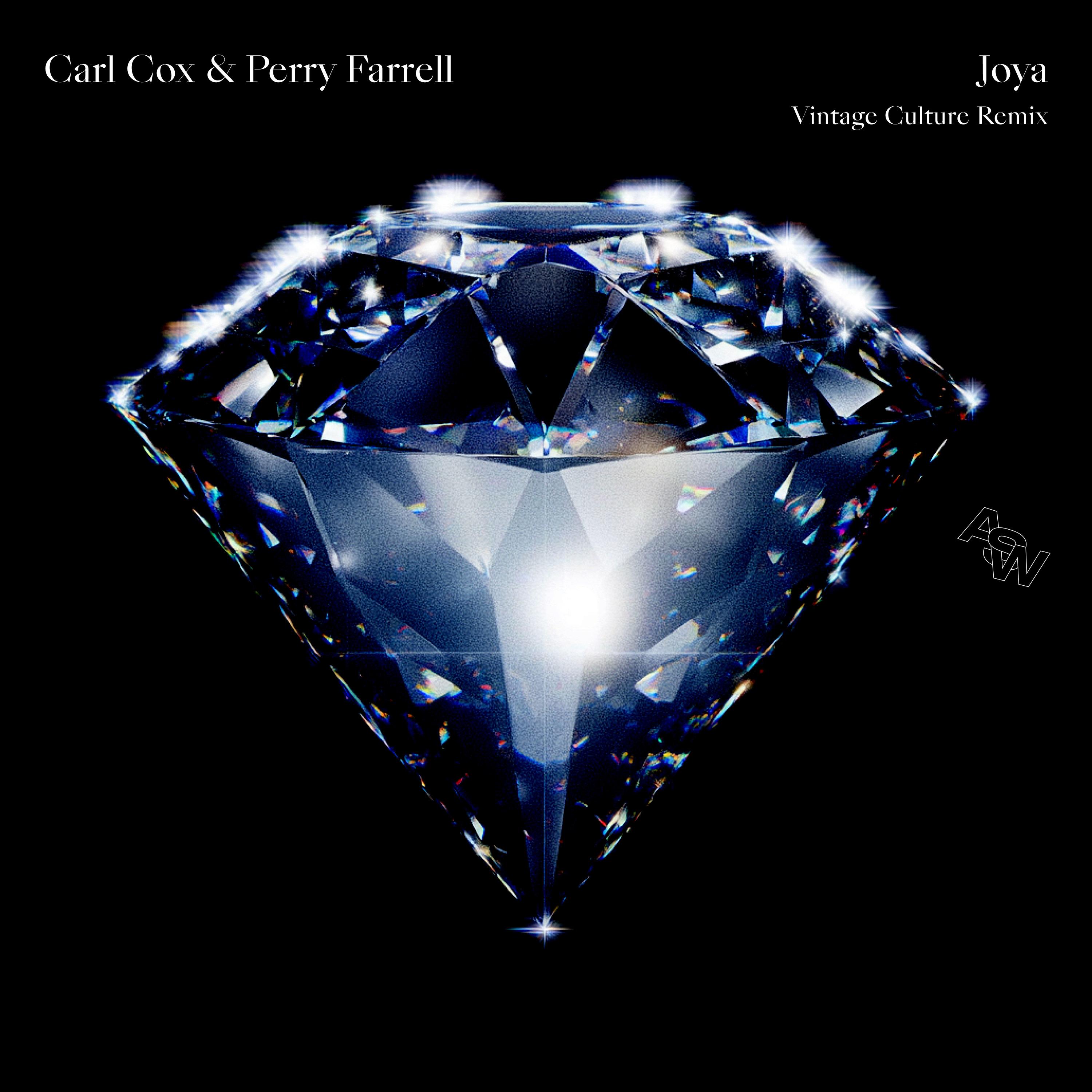 Joya (Vintage Culture Remix)