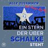 Alle Zusammen - Ein Stern, der über Schalke steht (Single Edit)