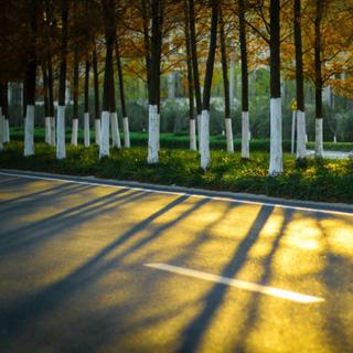 「私藏」容易被忽略的好声音