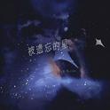 被遗忘的星remix专辑