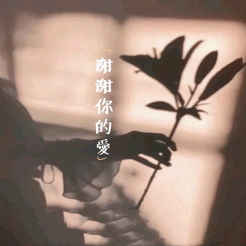 谢谢你的爱（女生版）