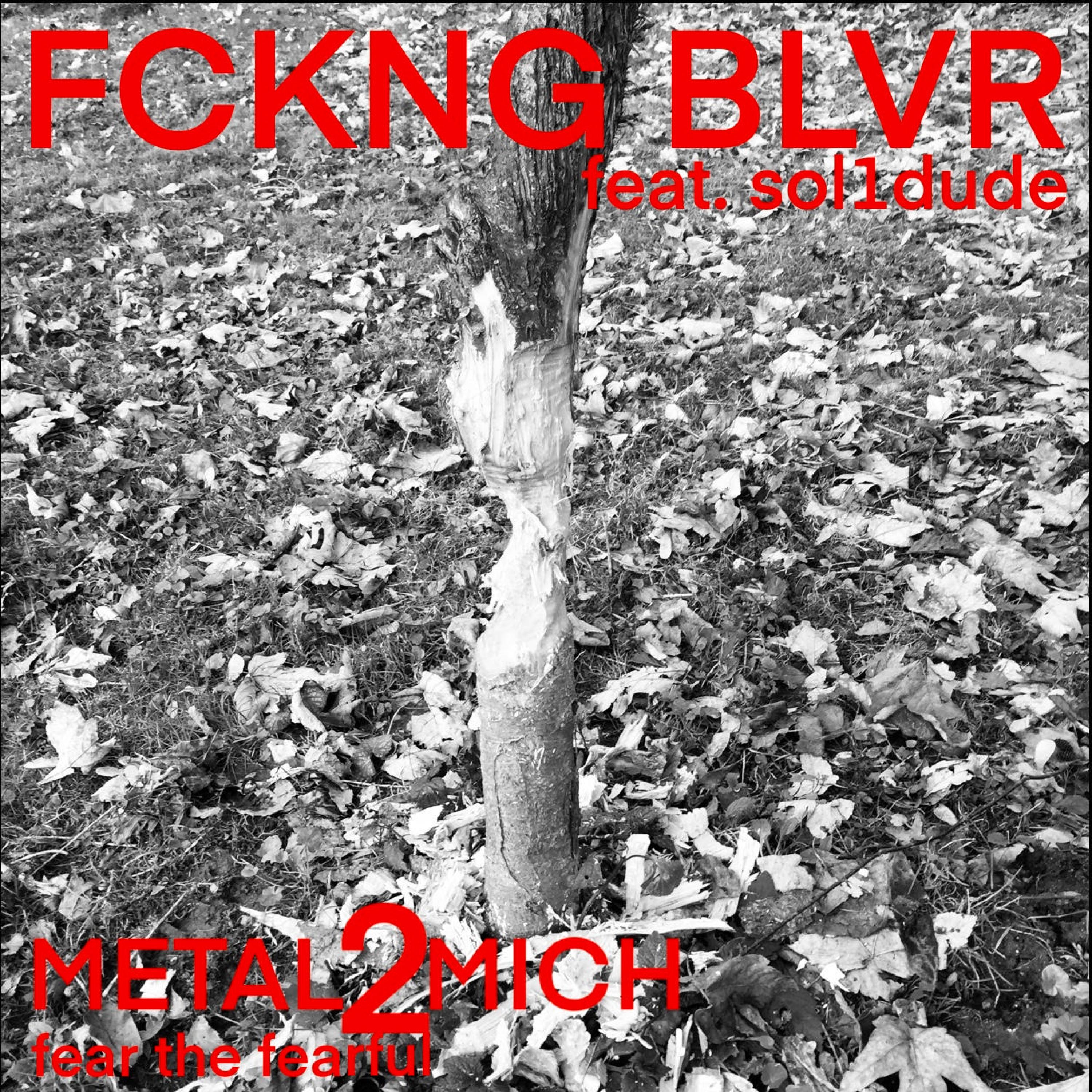 metal2mich - FCKNG BLVR (feat. sol1dude)