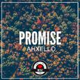 Promise