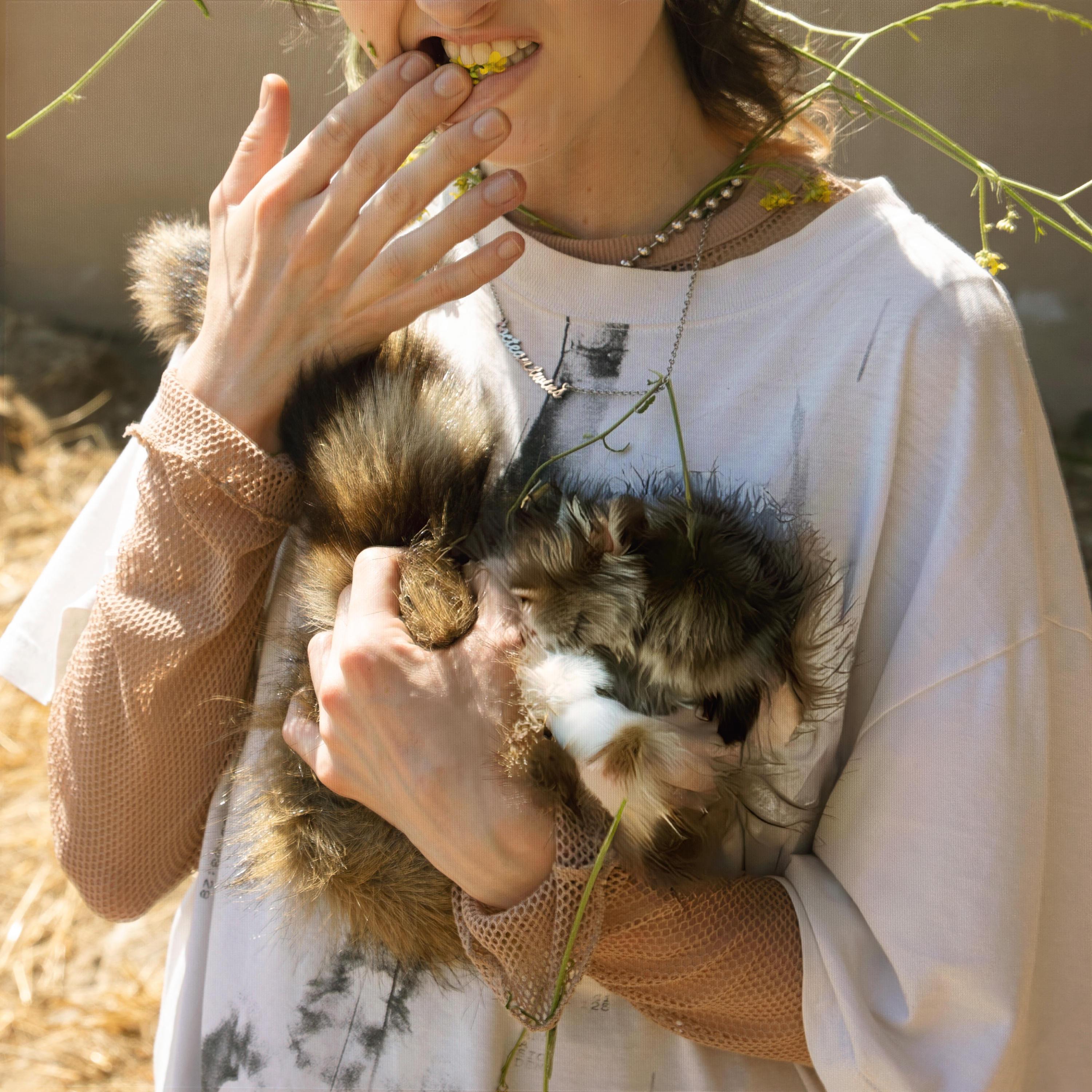 goreblog (feat. bod [包家巷] & Glasear)