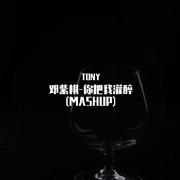 TONY-Martin Garrix-邓紫棋-你把我灌醉Starlight(MASHUP)